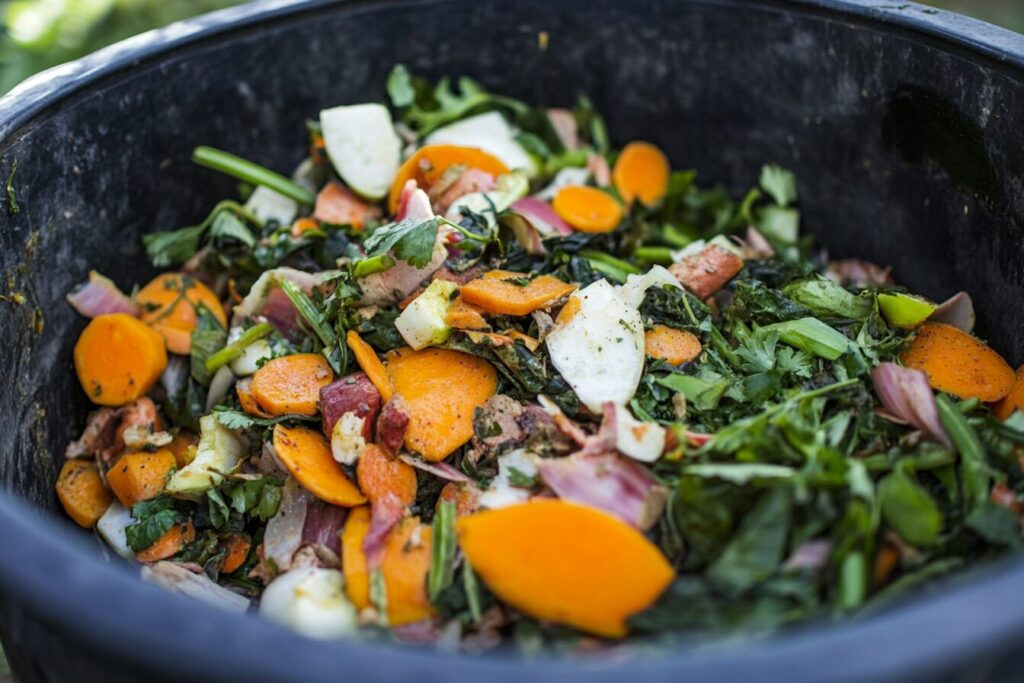 Zero-Waste Cooking Tips to Save Money and the Planet